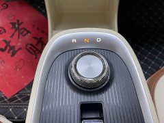 ORA Good Cat 400km Standard Range Deluxe Ternary Lithium - ფოტო 18