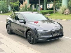 Tesla Model Y Rear-Wheel Drive - ფოტო 3