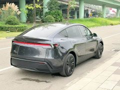 Tesla Model Y Rear-Wheel Drive - ფოტო 9