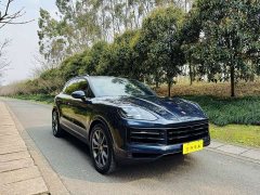 Porsche Cayenne 3.0T - ფოტო 16