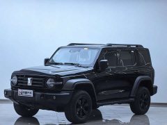 Tank 300 2.0T Gasoline Conqueror - ფოტო 1