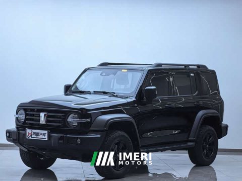 2025 Tank 300 2.0T Gasoline Conqueror - ავტომობილი ჩინეთიდან