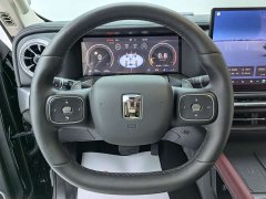 Tank 300 2.0T Gasoline Conqueror - ფოტო 7