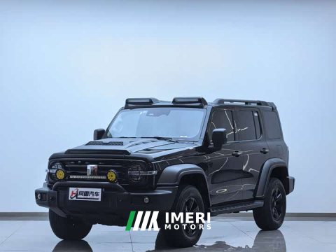 2024 Tank 300 2023 Off-Road Edition 2.0T Conqueror - ავტომობილი ჩინეთიდან