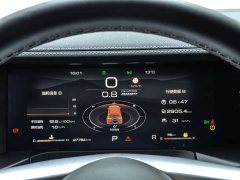 Tank 300 2023 Off-Road Edition 2.0T Conqueror - ფოტო 8