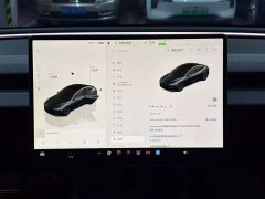 Tesla Model 3 2023 Rear-Wheel Drive - ფოტო 7