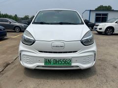 SAIC Corey Wei CLEVER 302km All-Purpose Edition - ფოტო 2