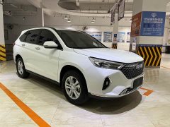 Haval M6 PLUS 1.5T DCT Elite Smart Connected Edition - ფოტო 3
