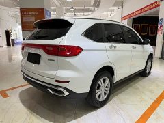 Haval M6 PLUS 1.5T DCT Elite Smart Connected Edition - ფოტო 4
