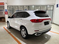 Haval M6 PLUS 1.5T DCT Elite Smart Connected Edition - ფოტო 6