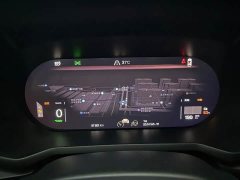 Polestar 2 2021 Single Motor Standard Range - ფოტო 10