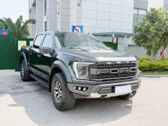 Ford F-150 Raptor 3.5T Raptor - ფოტო 3