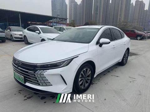 2024 BYD Destroyer 05 Glory Edition DM-i 55KM Luxury