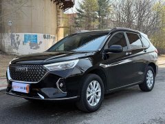 Haval M6 PLUS 1.5T DCT Luxury Smart Connected Edition - ფოტო 1