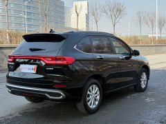 Haval M6 PLUS 1.5T DCT Luxury Smart Connected Edition - ფოტო 13