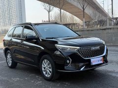 Haval M6 PLUS 1.5T DCT Luxury Smart Connected Edition - ფოტო 2