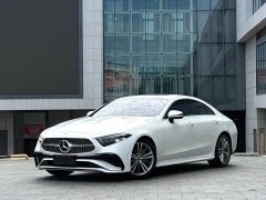 Mercedes-Benz CLS 300 Dynamic - ფოტო 1