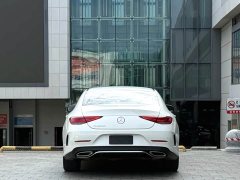 Mercedes-Benz CLS 300 Dynamic - ფოტო 10