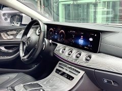 Mercedes-Benz CLS 300 Dynamic - ფოტო 2