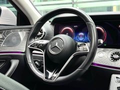 Mercedes-Benz CLS 300 Dynamic - ფოტო 8