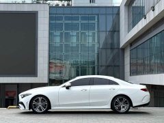 Mercedes-Benz CLS 300 Dynamic - ფოტო 9