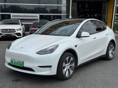 Tesla Model Y Long Range All-Wheel Drive 3D7 - ფოტო 1