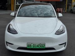 Tesla Model Y Long Range All-Wheel Drive 3D7 - ფოტო 2