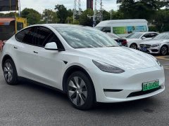 Tesla Model Y Long Range All-Wheel Drive 3D7 - ფოტო 3