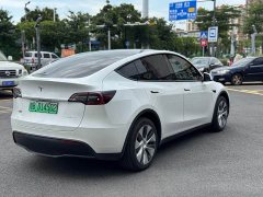 Tesla Model Y Long Range All-Wheel Drive 3D7 - ფოტო 4