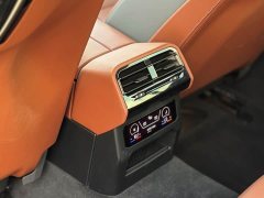 BMW 5 Series 530Li Luxury M Sport Package - ფოტო 12