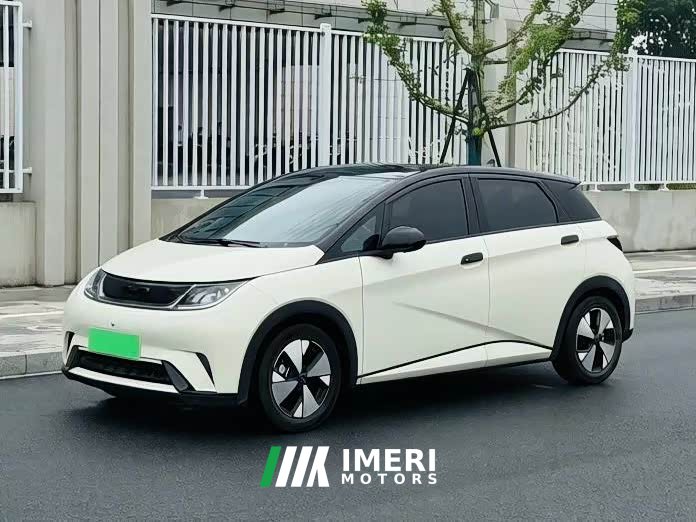 BYD Dolphin 420km Fashion Edition - ავტომობილი ჩინეთიდან
