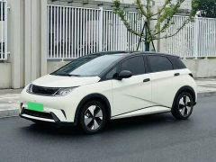 BYD Dolphin 420km Fashion Edition - ფოტო 1