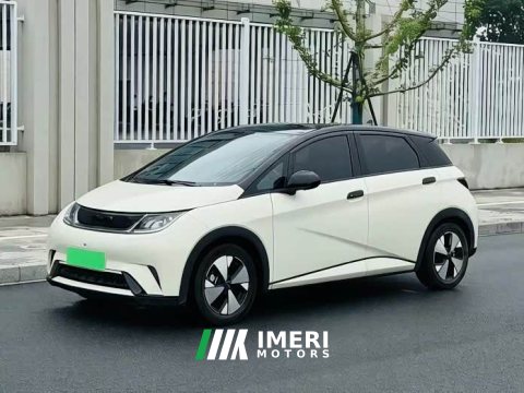2023 BYD Dolphin 420km Fashion Edition - ავტომობილი ჩინეთიდან