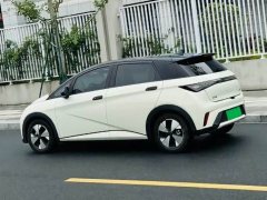BYD Dolphin 420km Fashion Edition - ფოტო 3