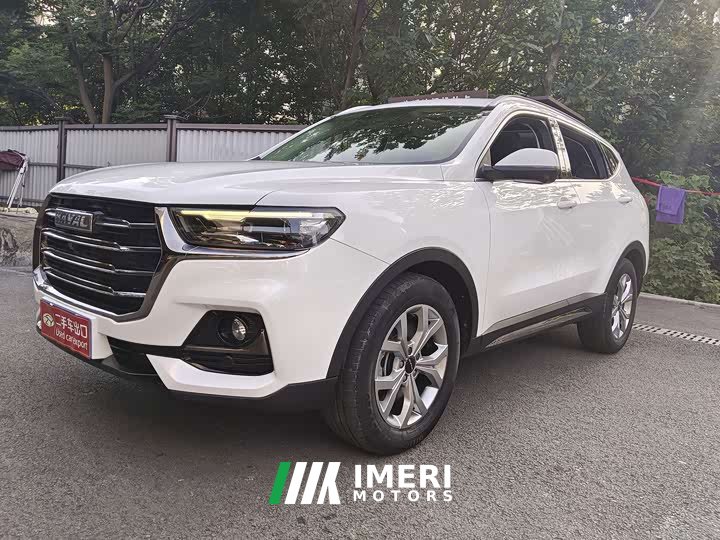 Haval H6 2021 National Trend 1.5T Automatic Champion Edition - ავტომობილი ჩინეთიდან
