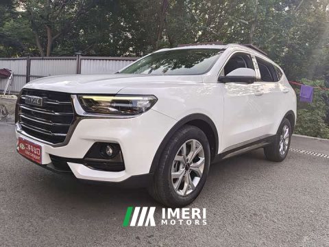 2022 Haval H6 2021 National Trend 1.5T Automatic Champion Edition - ავტომობილი ჩინეთიდან