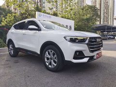 Haval H6 2021 National Trend 1.5T Automatic Champion Edition - ფოტო 3