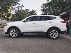 Haval H6 2021 National Trend 1.5T Automatic Champion Edition - ფოტო 5