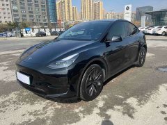 Tesla Model Y Rear-Wheel Drive - ფოტო 1