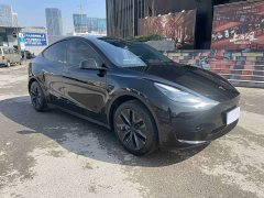 Tesla Model Y Rear-Wheel Drive - ფოტო 3