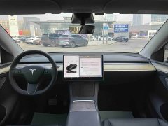 Tesla Model Y Rear-Wheel Drive - ფოტო 8