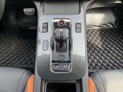 Trumpchi Leopard 2022 270T DCT J16 R-style Track Edition - ფოტო 17
