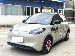 Wuling Binguo 333km Joy Edition - ფოტო 1