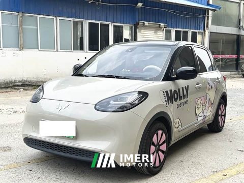 2023 Wuling Binguo 333km Joy Edition - ავტომობილი ჩინეთიდან