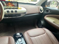 Wuling Binguo 333km Joy Edition - ფოტო 12