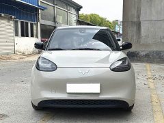 Wuling Binguo 333km Joy Edition - ფოტო 2