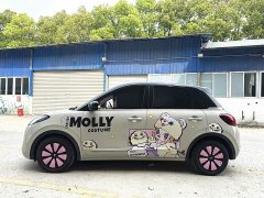 Wuling Binguo 333km Joy Edition - ფოტო 3
