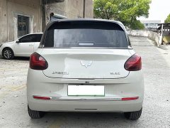 Wuling Binguo 333km Joy Edition - ფოტო 5