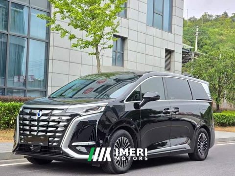 2024 Denza BYD Denza D9 DM-i 980 Four-Wheel Drive Flagship - ავტომობილი ჩინეთიდან