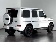 Mercedes-Benz G-Class G 350 - ფოტო 12